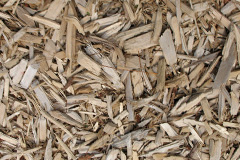 biomass boilers Woodlane