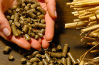 free Woodlane biomass boiler quotes